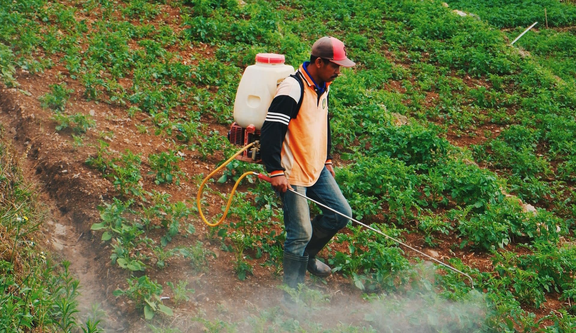 Trabalhador Rural atuando no campo