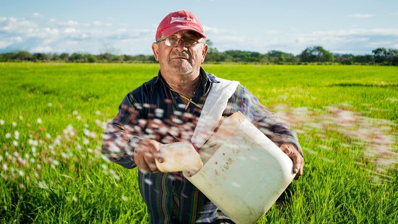 Imagem de um homem idoso no campo, representando o trabalhador rural que quer se aposentar