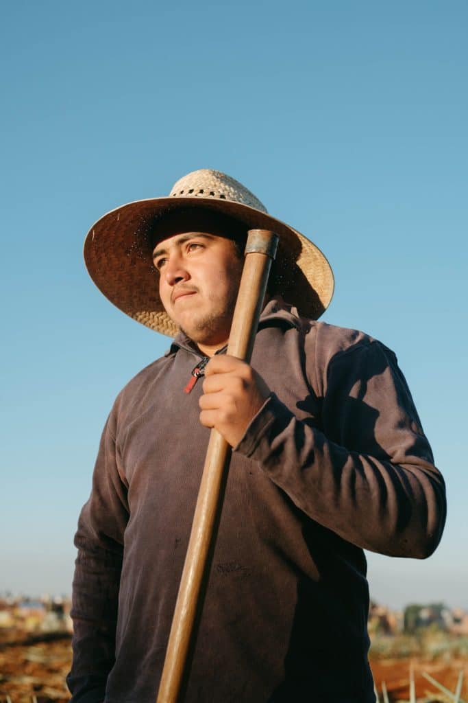 atividade rural pensão