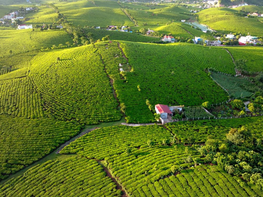 Trabalhador Rural