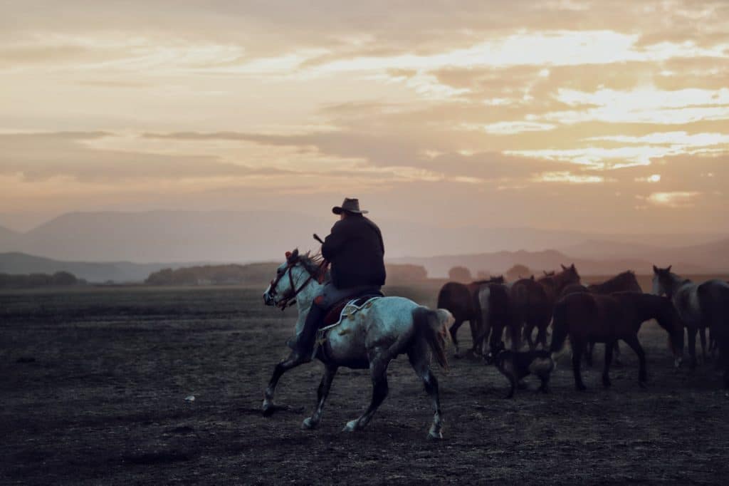 Atividade Especial Rural