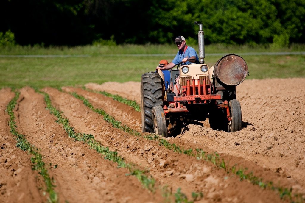 Aposentadoria do Agropecuarista
Alessandro Liberato