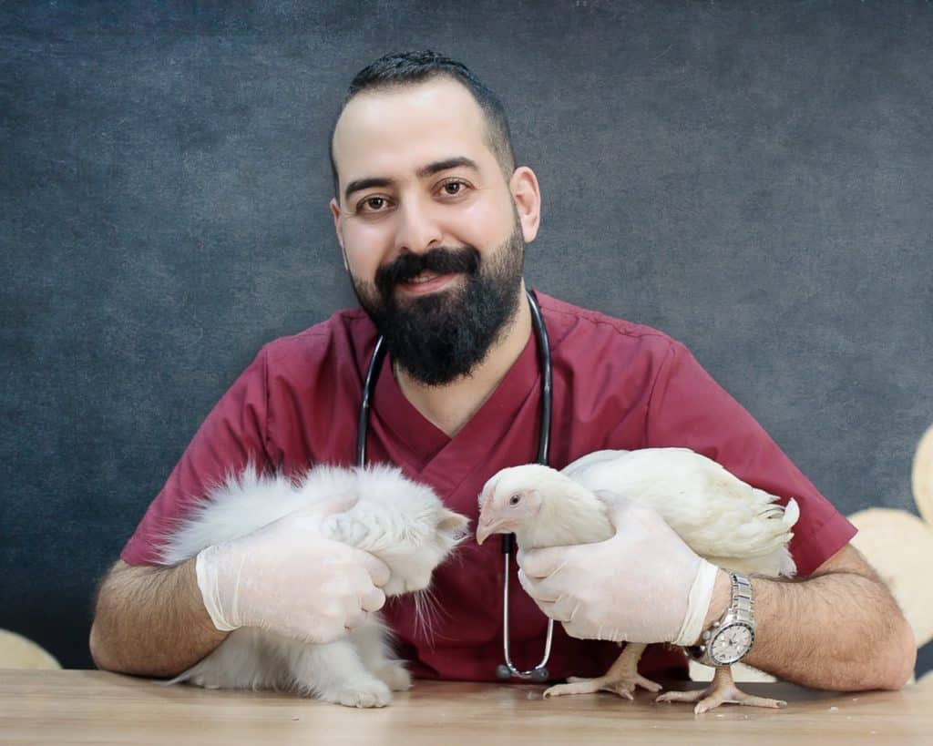 Aposentadoria do Médico Veterinário