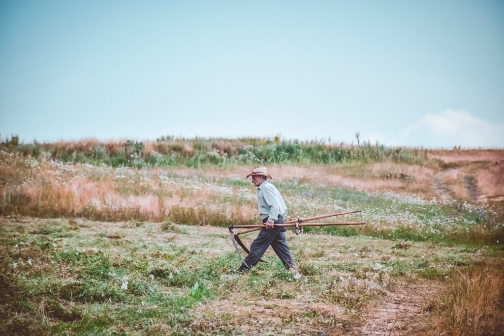 Aposentadoria do Diarista Rural